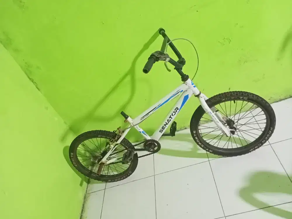 Sepeda anak r20