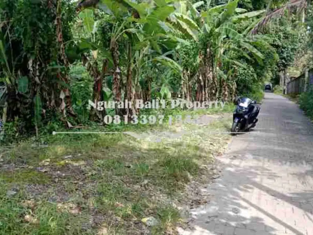 Land For Sale Luas 5 Are Kawasan Villa di Lodtunduh Ubud