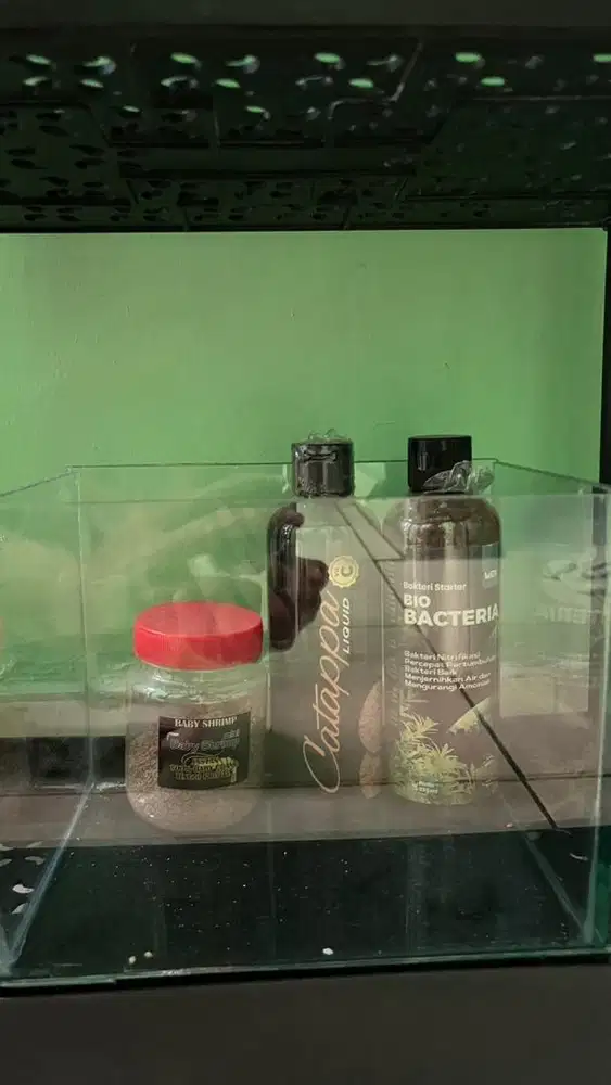 Aquarium mini untuk ikan kecil seperti ikan cupang