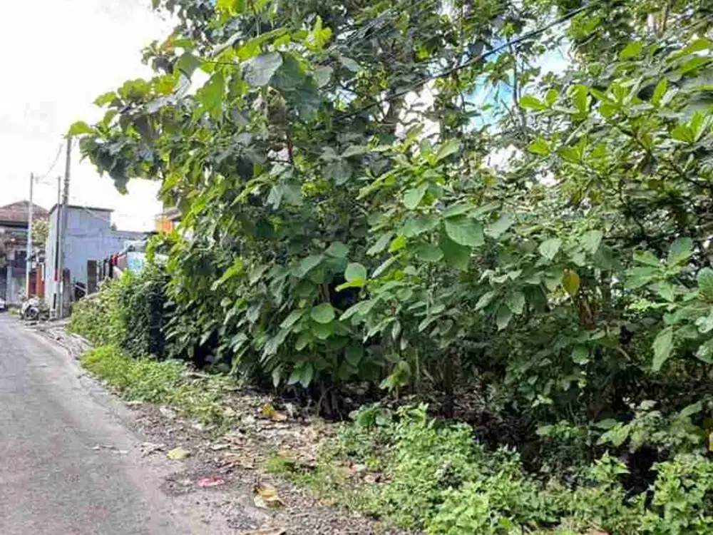 Dijual Tanah 200m2 di Kutuh Cocok Untuk Villa