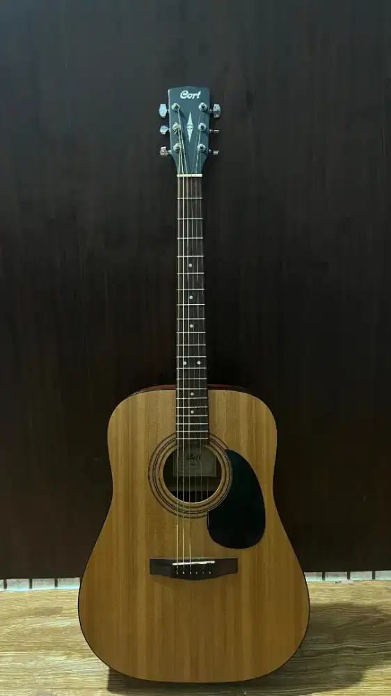 Gitar Cort AD 810 OP