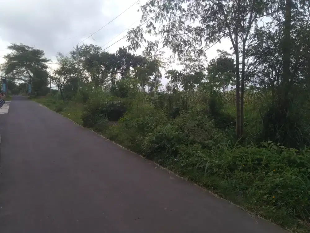 Jual murah tanah siap bangun Pandeyan Jatinom klaten