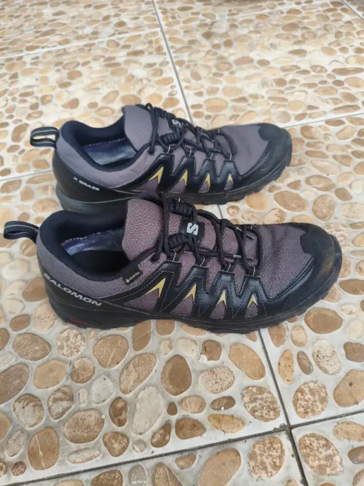 Salomon X Braze GTX
sz 44 (28cm)