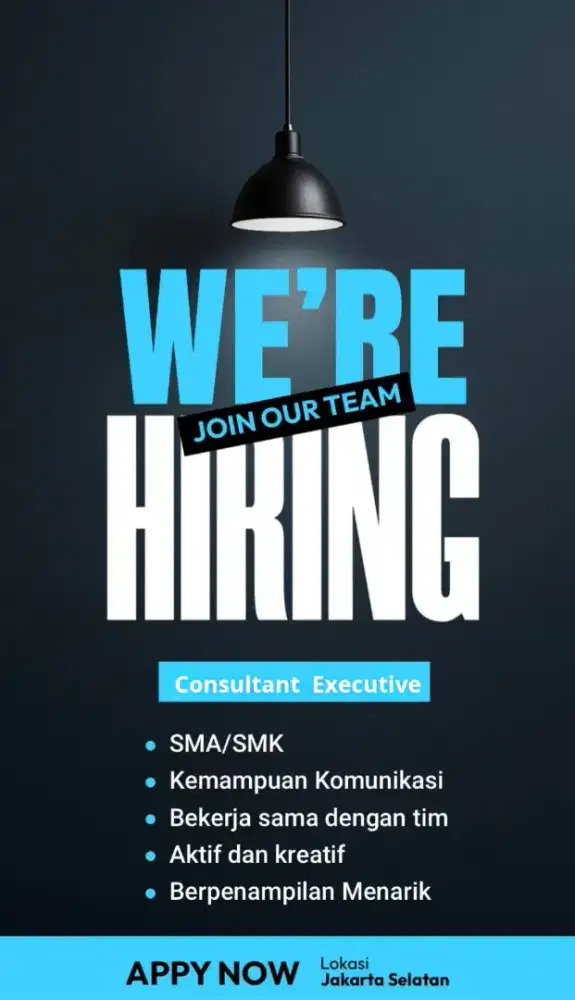 Di cari Consultant Executive