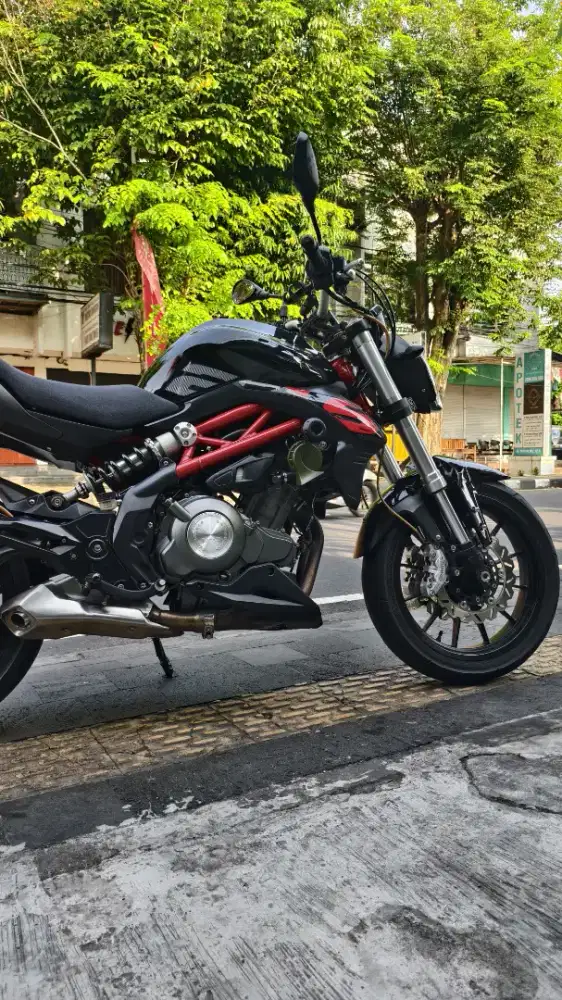 Motor Benelli TNT 249s