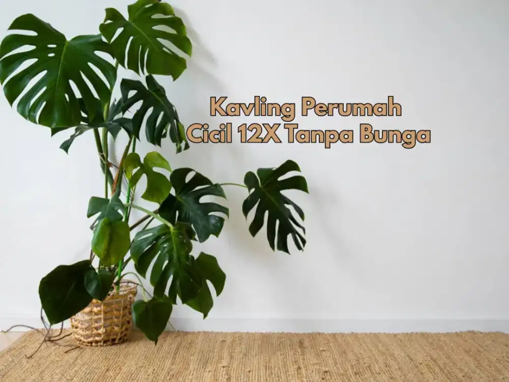 Bisa DIcicil 0 Bunga, Tanah Jalan Magelang Jogja