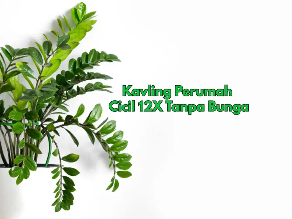Area Palagan, Tanah Bisa Di cicil Tanpa Bunga