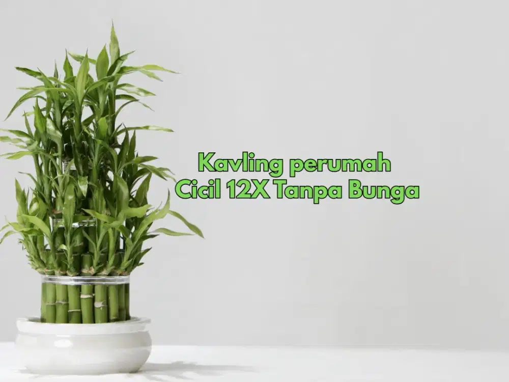 Bisa Dicicil Tanpa Bunga, Tanah Palagan View Sawah