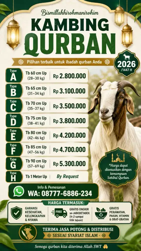 List Daging Kambing Domba Qurban
