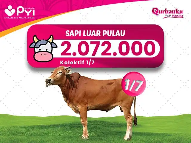 Qurban 2026/1447 H - Qurban Sai Patungan Distribusi luar pulau jawa