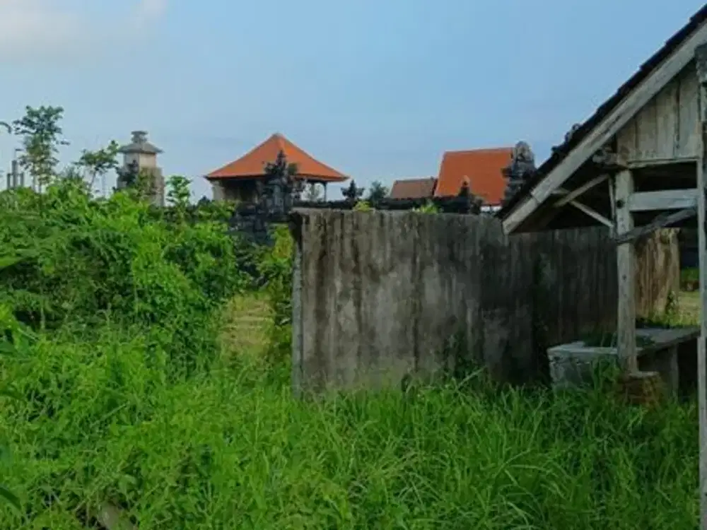 Land 12 Are For Leasehold 25 Years, In Seseh, Mengwi Area