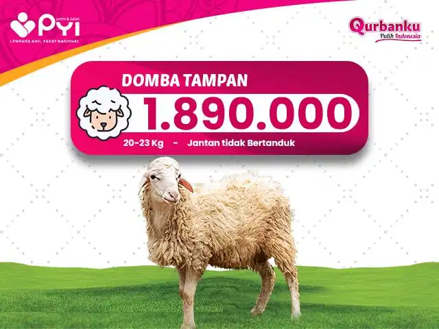 Qurban 2026/1447 H - Qurban Domba Paket Tampan Qurban Domba Jantan