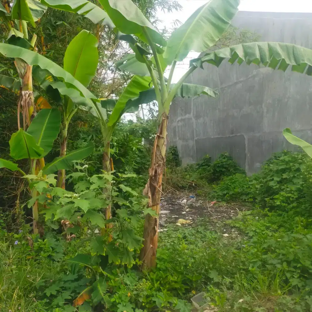 Tanah di Jual Medan Johor Karya Wisata