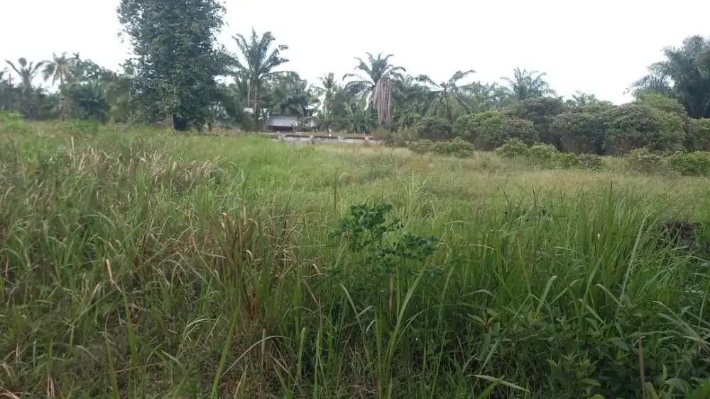 Tanah di Kwala Begumit