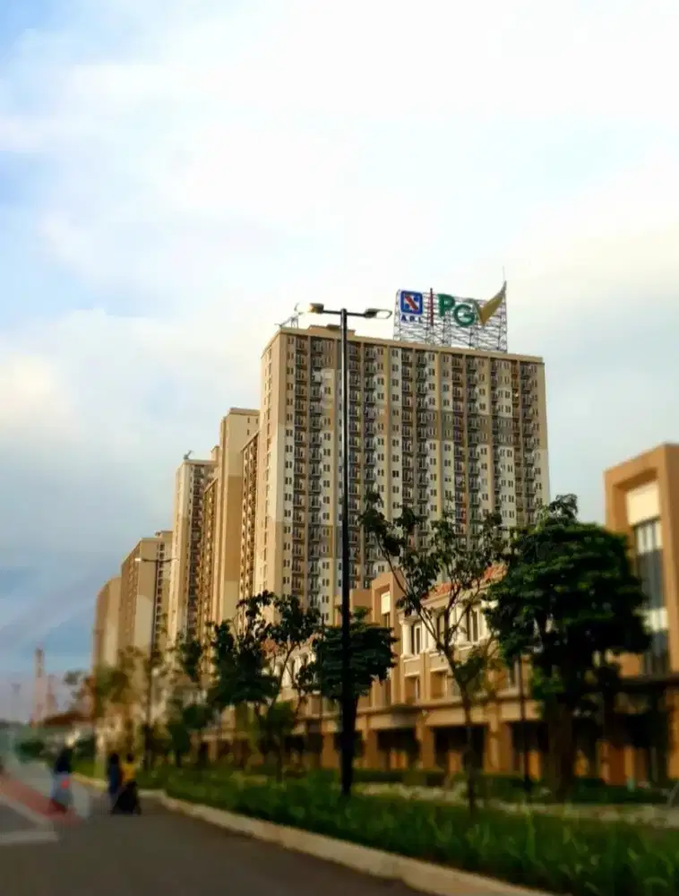 For Rent : Apartment Podomoro Golf View 2BR