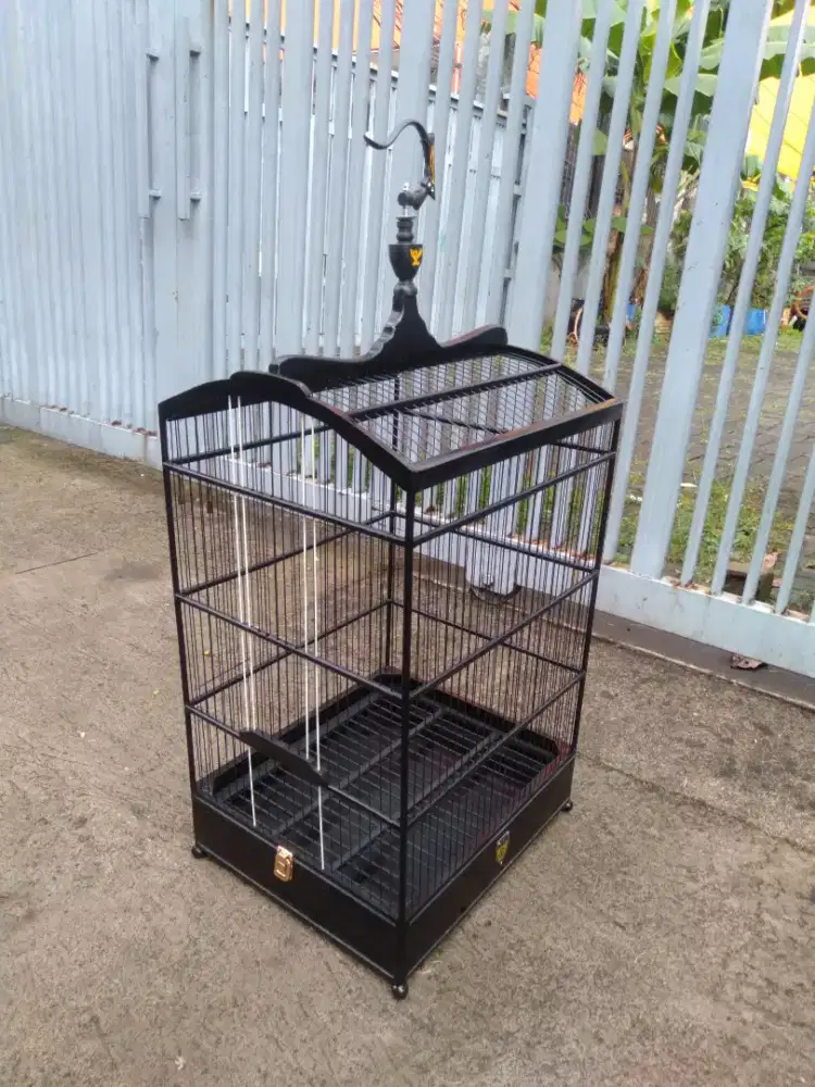 Sangkar burung untuk cucak iijo, kacer, kenari