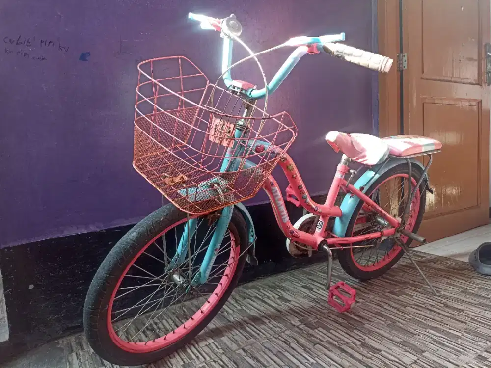 Sepeda anak, sepeda cewek