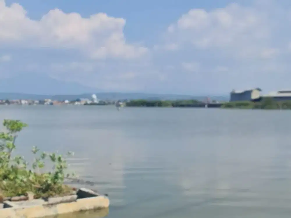 Dijual Tanah Luas Belum Urug Lokasi Ds. Mororejo Kendal