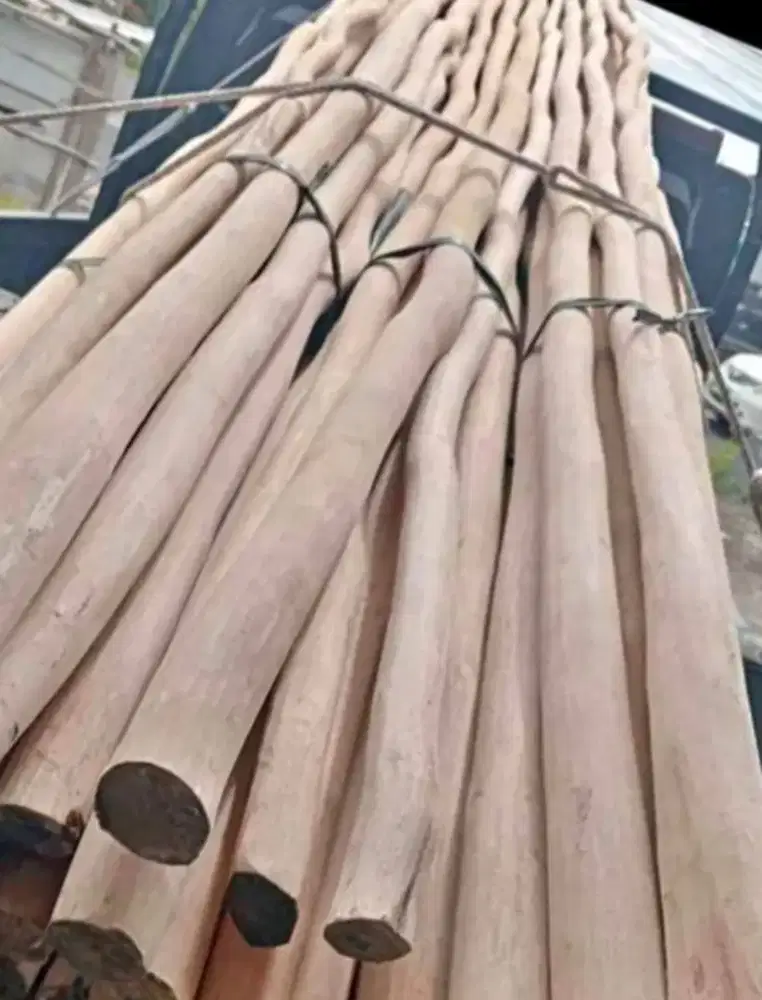 Kayu Gelam kalimantan