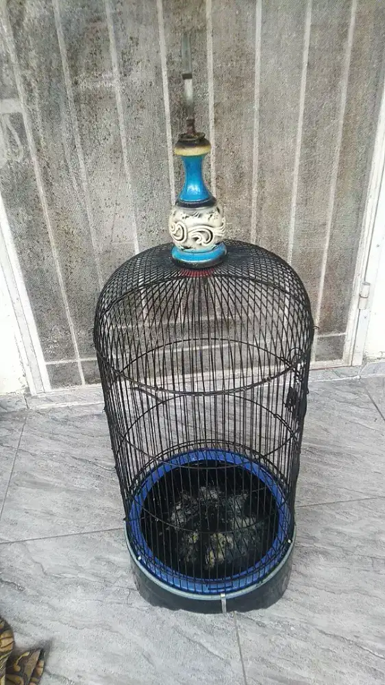 Kandang bulat diameter 33tinggi all +-90cm