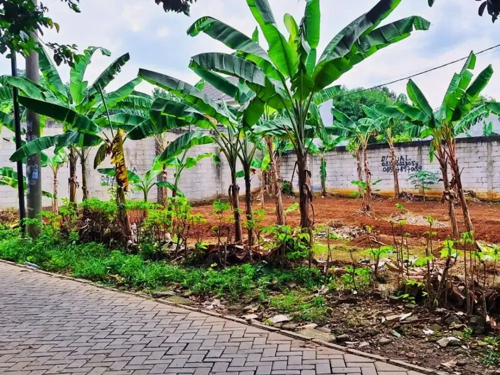 Kavling Tanah Strategis, 10 Menti Stasiun Rawa buntu, SHM