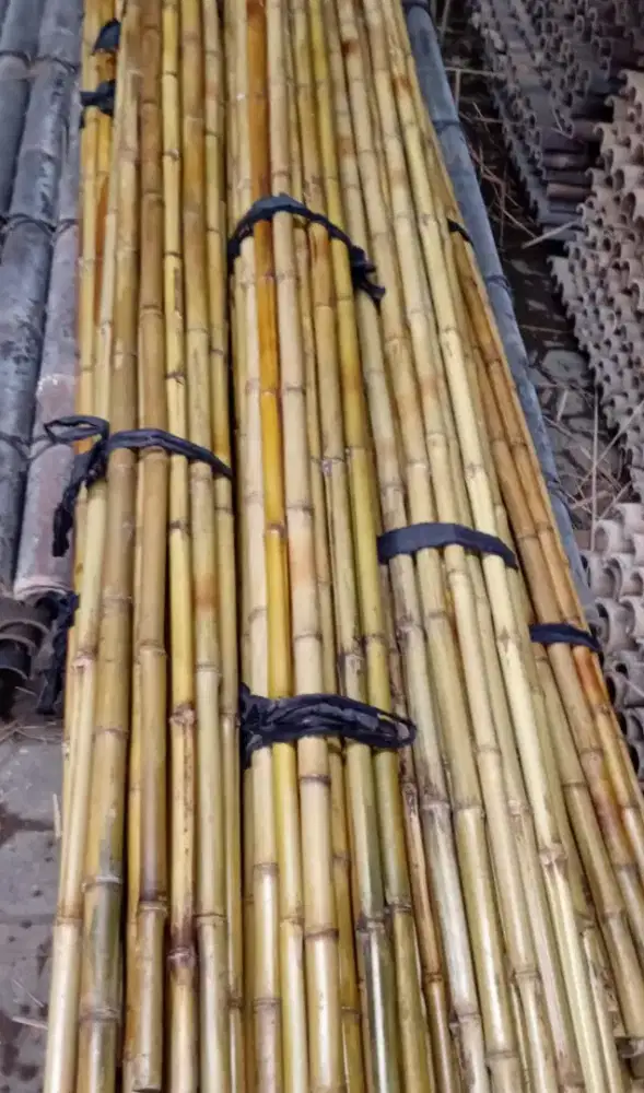 Bambu cendani, untuk atap dan pagar