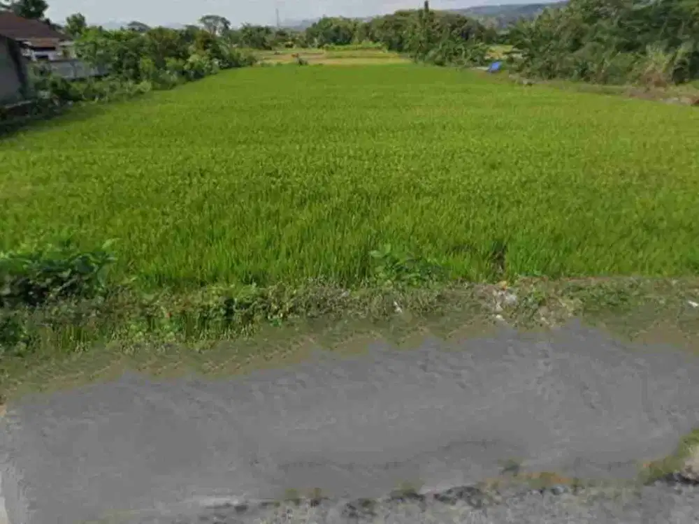 Dijual Tanah Strategis Area Jl. Wonosari KM 10 di Sitimulyo, Piyungan