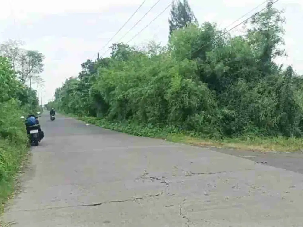 Dijual Tanah Hook Plot Industri Dsn Sebani Tanjangrono Kec Ngoro Mojokerto