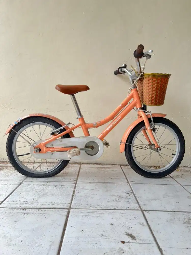Sepeda anak polygon alice 16