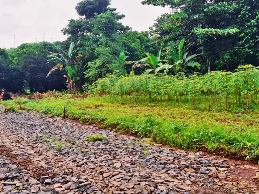 Tanah Murah 1 Jt-an, 10 Menit Pintu Tol Burangkeng, SHM