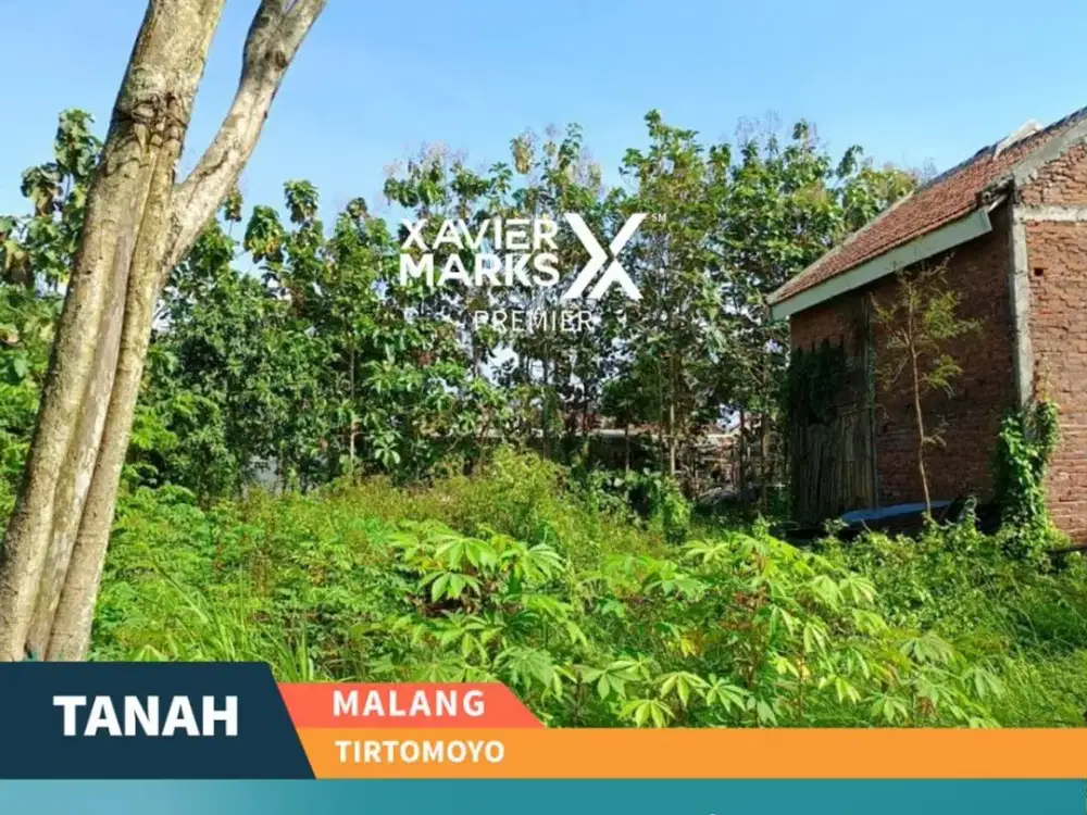 Disewakan Tanah Cocok untuk Usaha dan MBG di Tirtomoyo Pakis Malang
