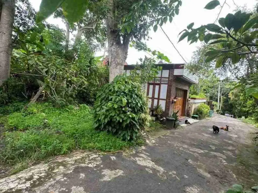 Tanah Murah Link Villa Belimbing Sari Pecatu Bali