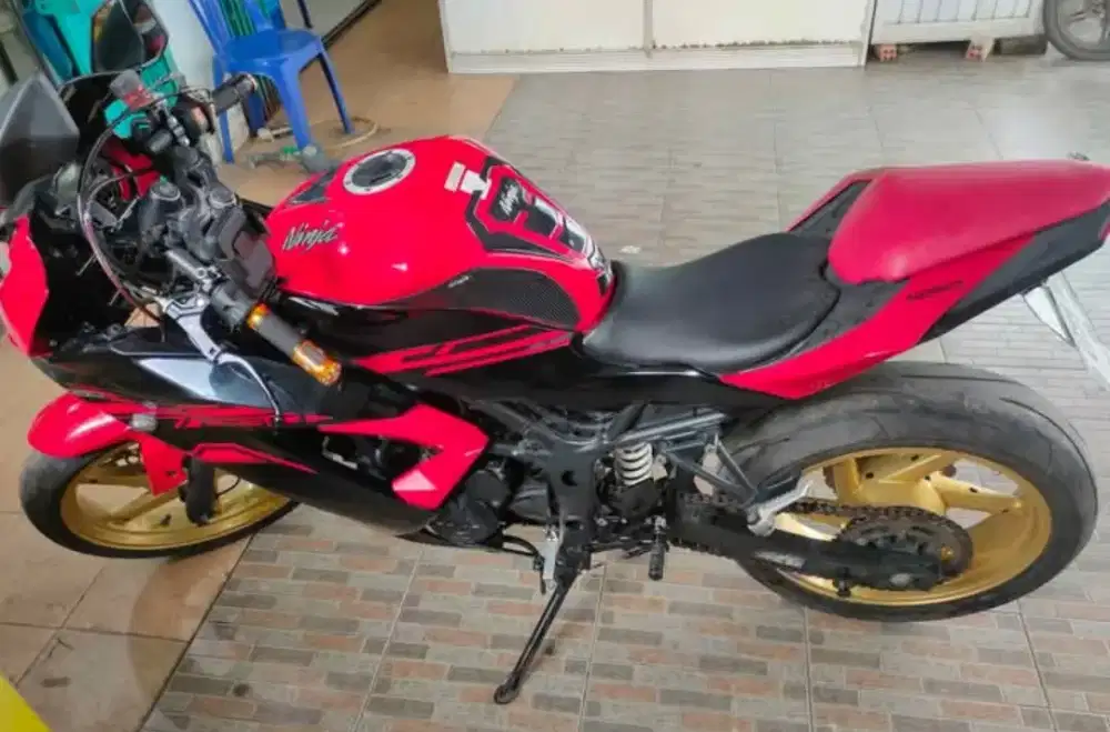 Ninja 250cc Mono SL