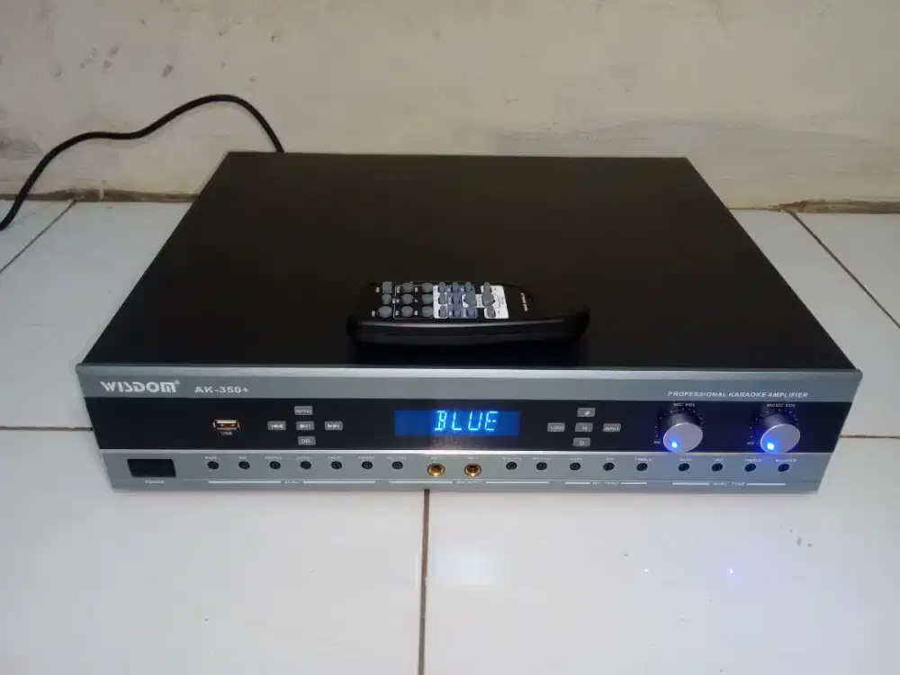 Amplifier wisdom AK-350+
