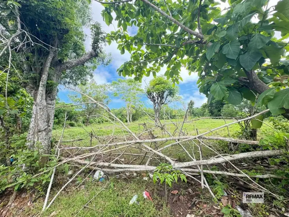Land 148 Are For Leasehold 30 Years, In Pecatu, Uluwatu Area