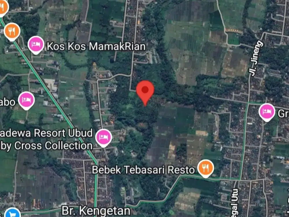 5.5 Ha Ubud Loss Sungai Wos Sangat Cocok Villa Resort atau Hotel di Ubud Gianyar Bali