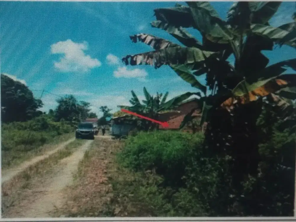 Dijual Tanah Dekat FASUM di Tanjung Jabung Jambi