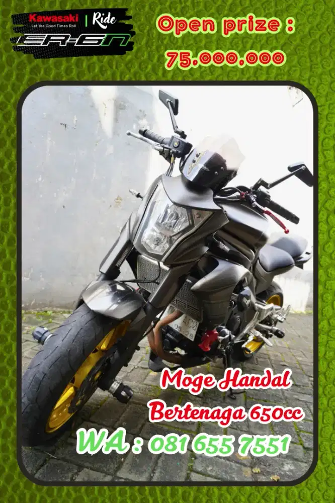 Kawasaki ER-6N 2012