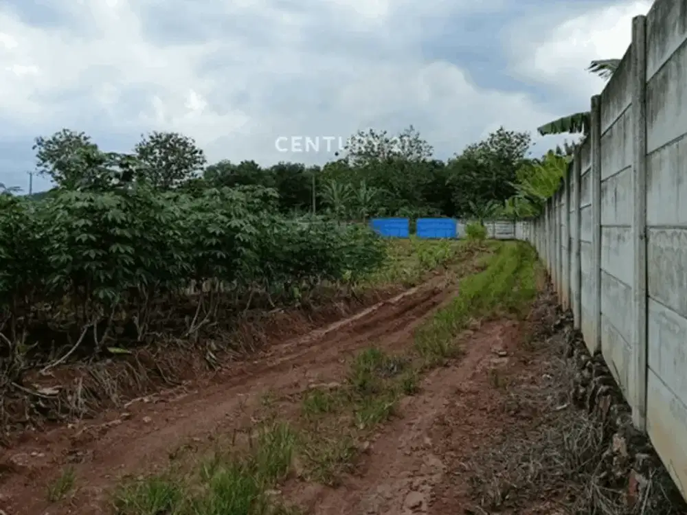 Tanah Strategis Siap Di Bangun Di Prov Lampung