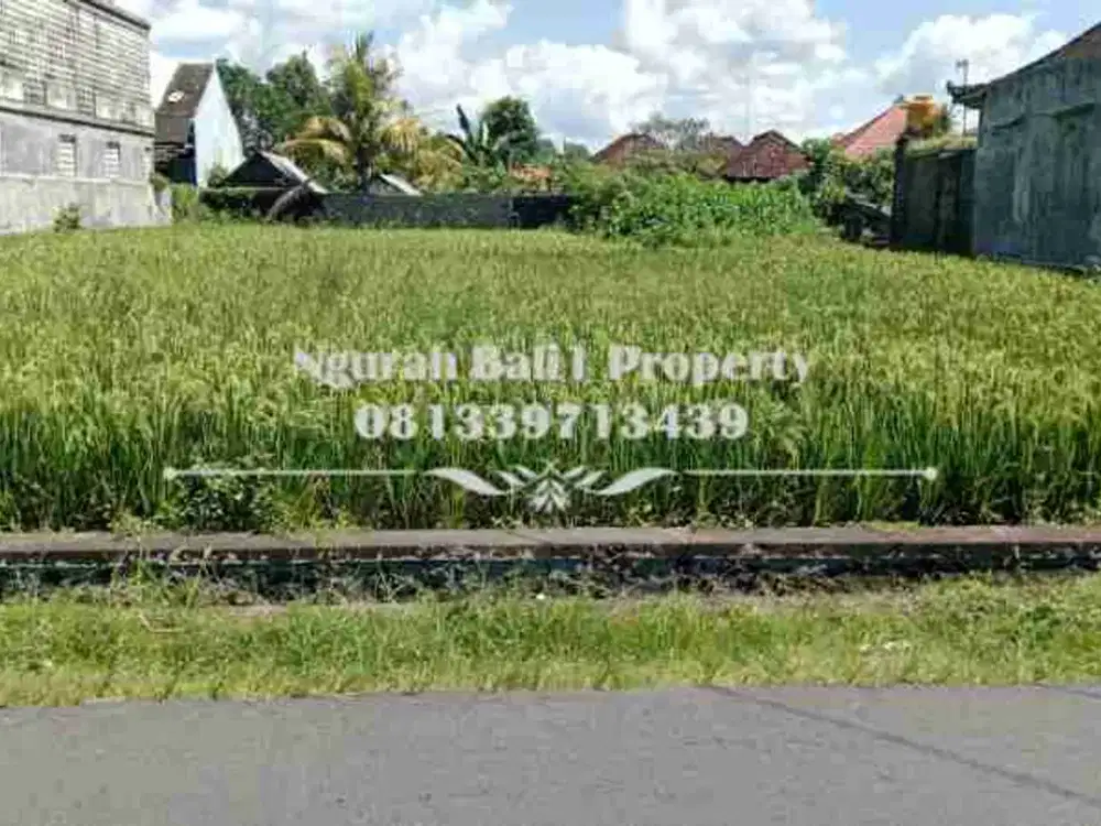 Land For Sale Murah Luas 9 Are Lokasi Selatan Ubud