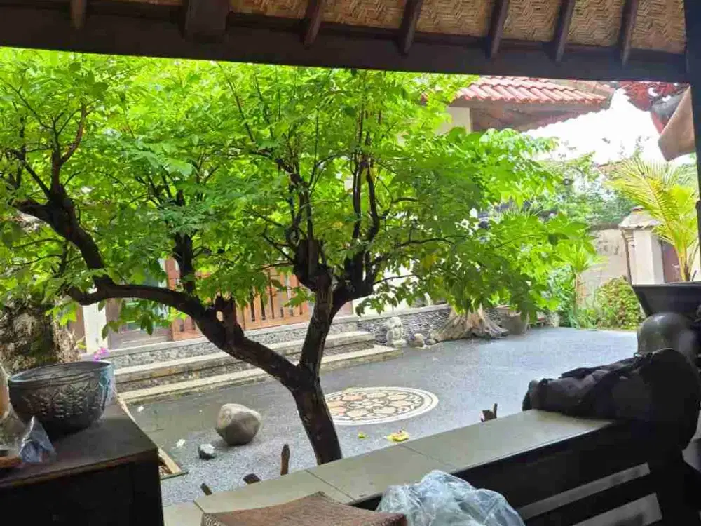 Land 4,14 Are For Sale Walking Distance To Seminyak Beach