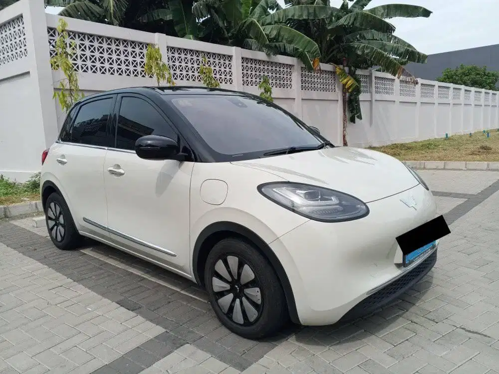 WUILING BINGUO EV 410