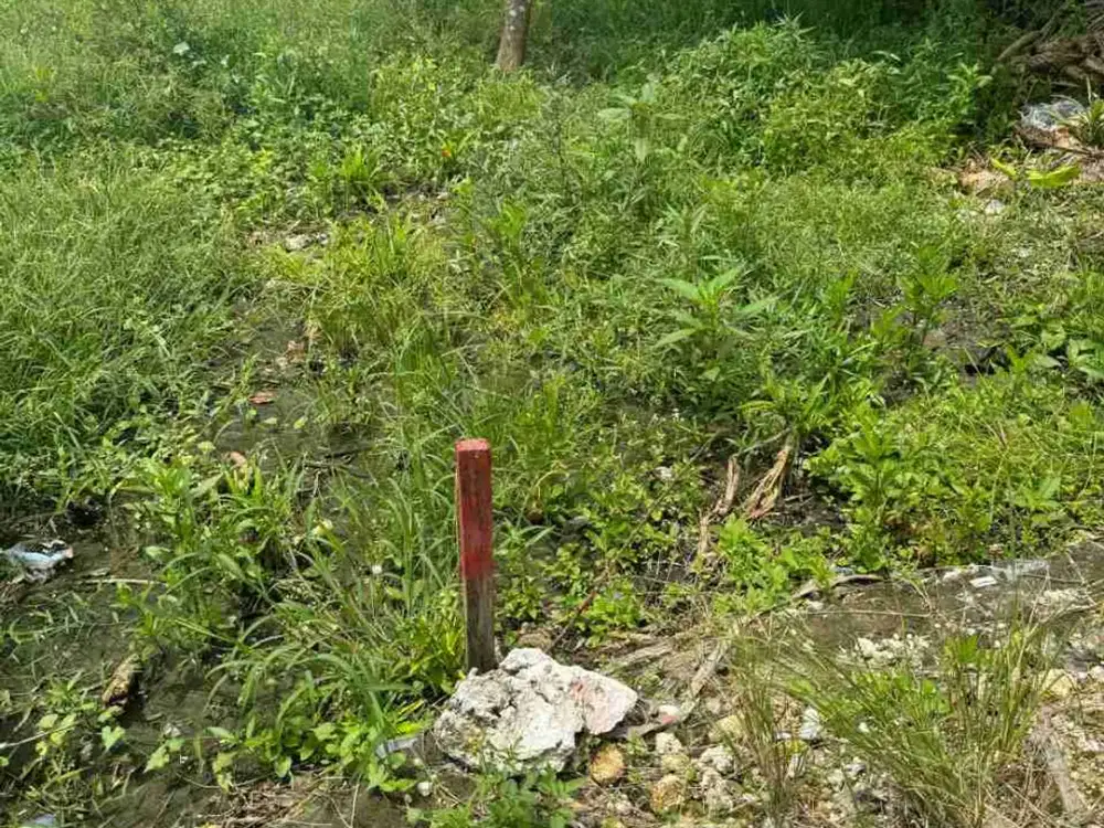 Land 4 Are For Sale or Leasehold at Aseman Canggu