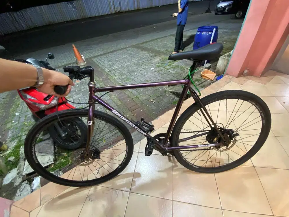 Jual Sepeda warna ungu
