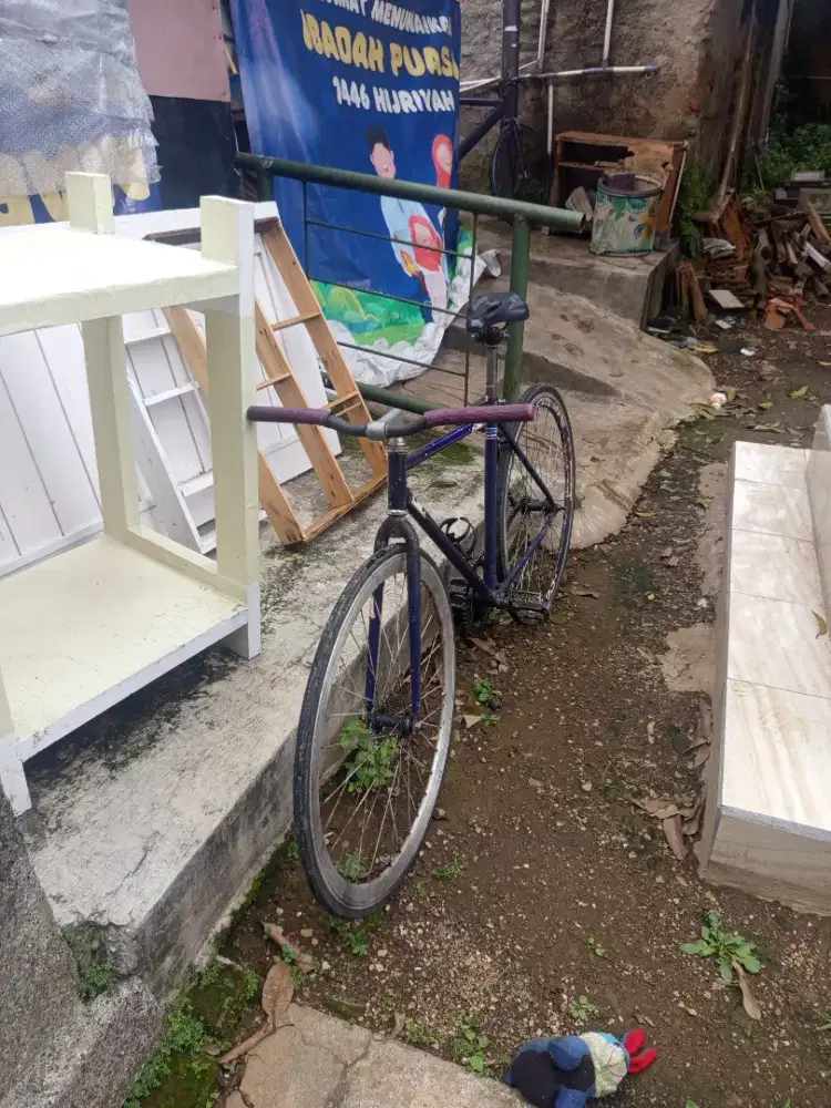 FIXIE NEGO TIPIS