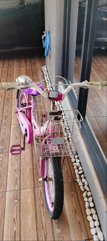 Sepeda Anak Family Mini – Cantik & Siap Gowes (Usia 4-9 Tahun)