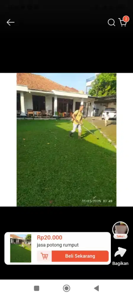 Jasa potong rumput