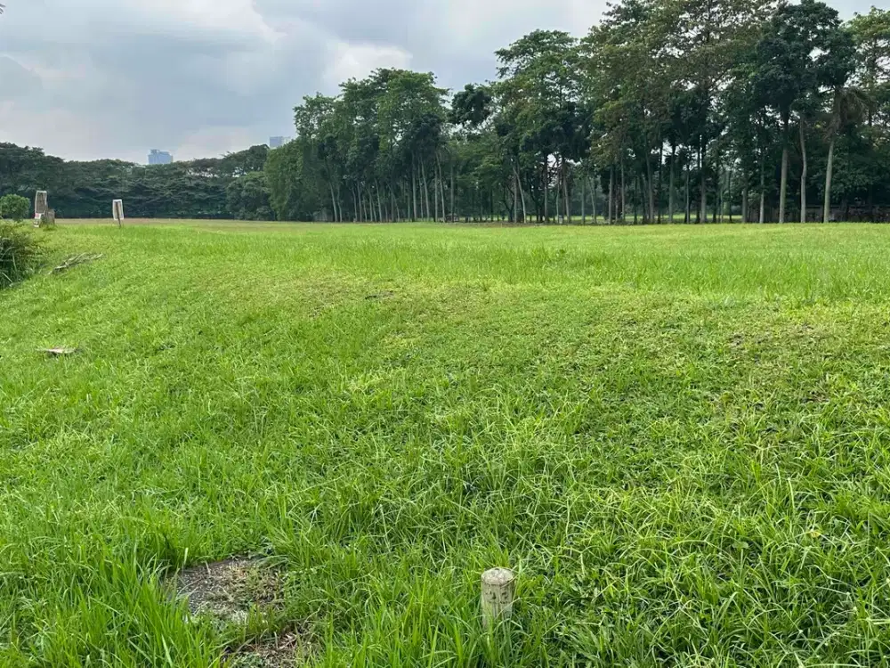 DiJual Kavling 1.403m² Bukit Golf BSD – Lebar 35m, Lokasi Pinggir Jalan 2 Row