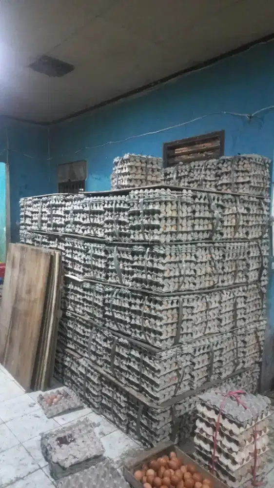Di cari driver buat toko telur