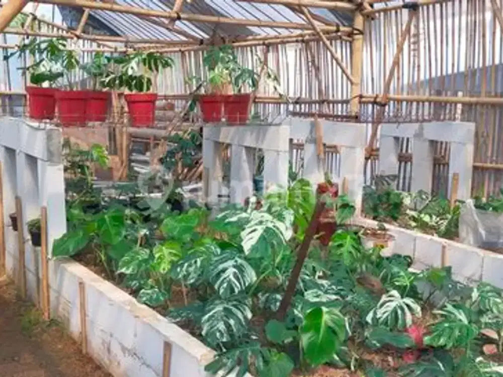 Lahan Matang Siap Bangun Cocok untuk Rumah Villa